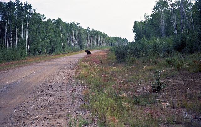 hn-17-203
