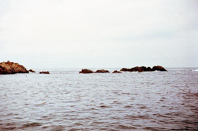 sdhn-2-097