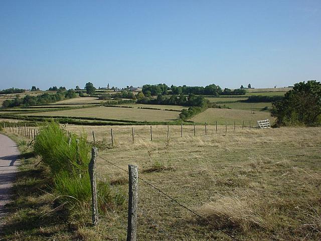 DSC01349