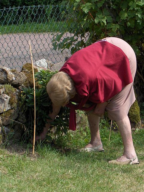 villiers juillet 08 056