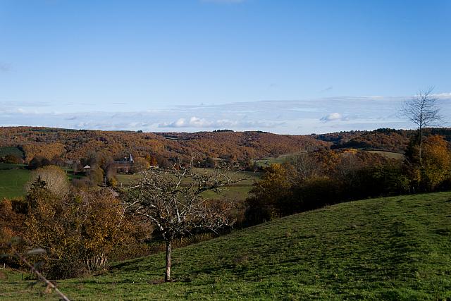 IMG 2010-3230