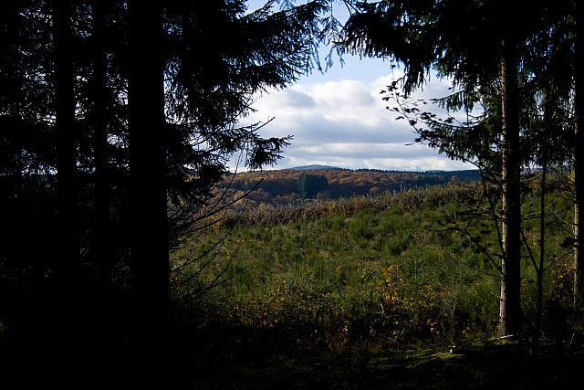 IMG 2010-3237