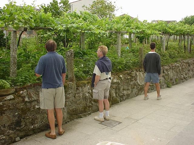DSC01249