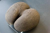 septembre 2015, Rochefort