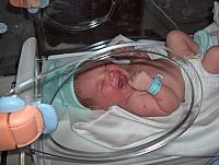 Darius 10 sept 024 [1600x1200]