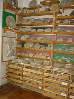 2000, juin, Amonites