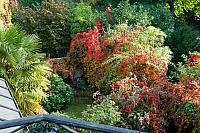 octobre, couleurs d automne