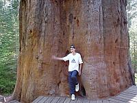 03, Yosemite, Sierra Nevada