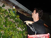 septembre 2007, champs, fouine