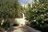 Crete-91-5-04