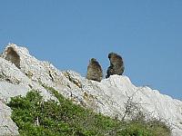 2003 1, juin La Rochelle-Barcelone